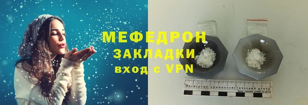 стаф Тутаев