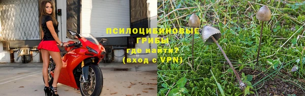 PSILOCYBIN Беломорск