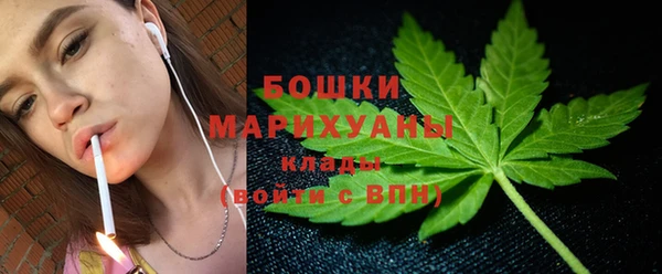 индика Тихорецк