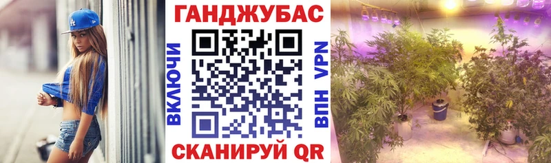 Бошки Шишки гибрид  Каневская 